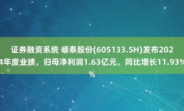 证券融资系统 嵘泰股份(605133.SH)发布2024年度业绩，归母净利润1.63亿元，同比增长11.93%