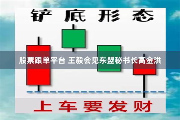 股票跟单平台 王毅会见东盟秘书长高金洪