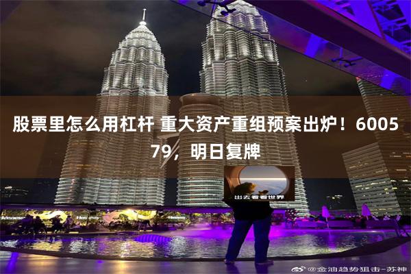 股票里怎么用杠杆 重大资产重组预案出炉！600579，明日复牌
