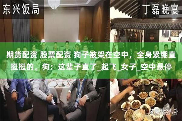 期货配资 股票配资 狗子被架在空中，全身紧绷直挺挺的。狗：这辈子直了_起飞_女子_空中悬停