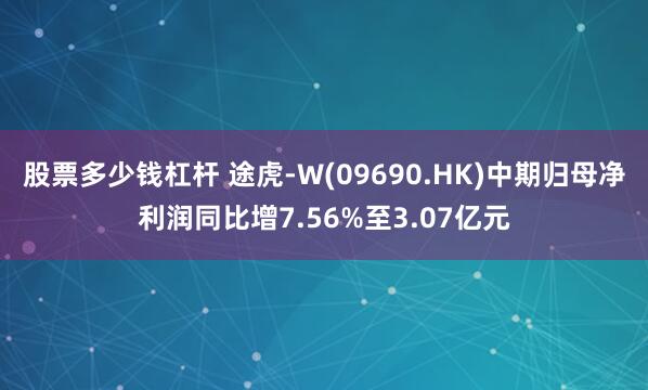 股票多少钱杠杆 途虎-W(09690.HK)中期归母净利润同比增7.56%至3.07亿元
