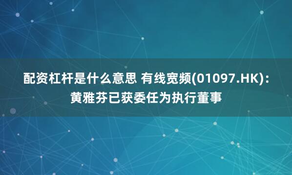 配资杠杆是什么意思 有线宽频(01097.HK)：黄雅芬已获委任为执行董事